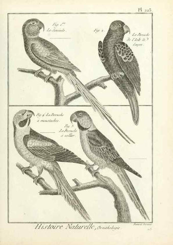 Reproducción/Reproduction 7850809446: Tableau encyclopédique et méthodique des trois règnes de la nature.. A Paris :Chez Mme. veuve Agasse ...,1823.