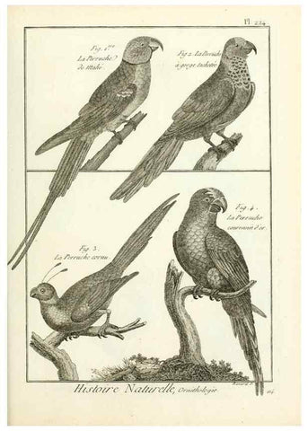 Reproducción/Reproduction 7850810852: Tableau encyclopédique et méthodique des trois règnes de la nature.. A Paris :Chez Mme. veuve Agasse ...,1823.