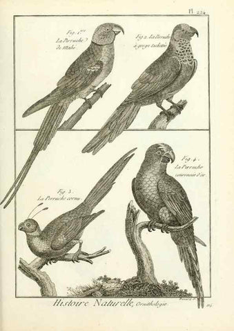 Reproducción/Reproduction 7850810852: Tableau encyclopédique et méthodique des trois règnes de la nature.. A Paris :Chez Mme. veuve Agasse ...,1823.