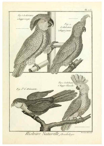 Reproducción/Reproduction 7850812238: Tableau encyclopédique et méthodique des trois règnes de la nature.. A Paris :Chez Mme. veuve Agasse ...,1823.