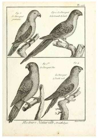 Reproducción/Reproduction 7850813670: Tableau encyclopédique et méthodique des trois règnes de la nature.. A Paris :Chez Mme. veuve Agasse ...,1823.