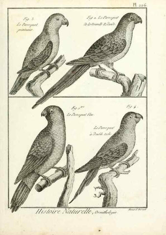 Reproducción/Reproduction 7850813670: Tableau encyclopédique et méthodique des trois règnes de la nature.. A Paris :Chez Mme. veuve Agasse ...,1823.