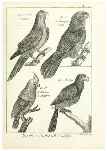 Reproducción/Reproduction 7850815120: Tableau encyclopédique et méthodique des trois règnes de la nature.. A Paris :Chez Mme. veuve Agasse ...,1823.
