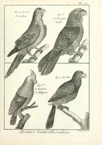 Reproducción/Reproduction 7850815120: Tableau encyclopédique et méthodique des trois règnes de la nature.. A Paris :Chez Mme. veuve Agasse ...,1823.