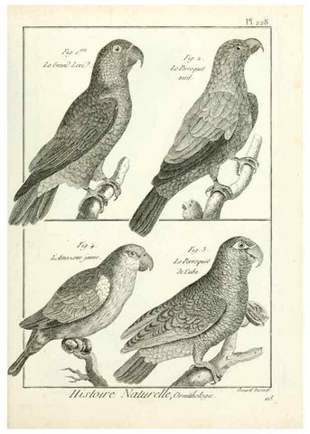 Reproducción/Reproduction 7850816494: Tableau encyclopédique et méthodique des trois règnes de la nature.. A Paris :Chez Mme. veuve Agasse ...,1823.