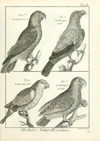 Reproducción/Reproduction 7850816494: Tableau encyclopédique et méthodique des trois règnes de la nature.. A Paris :Chez Mme. veuve Agasse ...,1823.