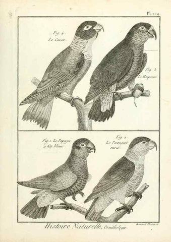 Reproducción/Reproduction 7850817826: Tableau encyclopédique et méthodique des trois règnes de la nature.. A Paris :Chez Mme. veuve Agasse ...,1823.