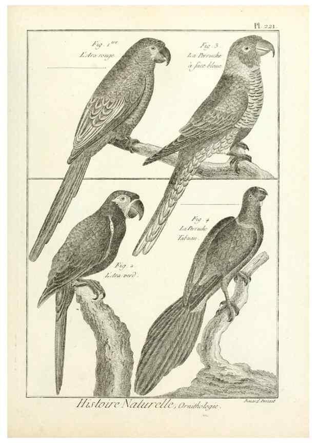 Reproducción/Reproduction 7850806706: Tableau encyclopédique et méthodique des trois règnes de la nature.. A Paris :Chez Mme. veuve Agasse ...,1823.