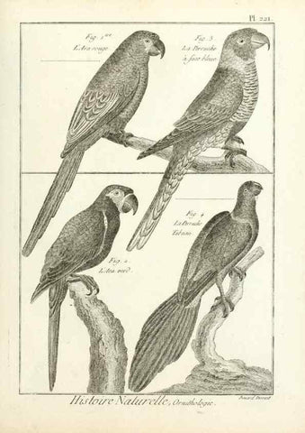 Reproducción/Reproduction 7850806706: Tableau encyclopédique et méthodique des trois règnes de la nature.. A Paris :Chez Mme. veuve Agasse ...,1823.