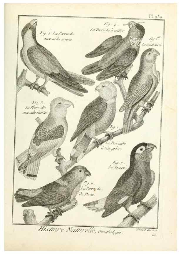 Reproducción/Reproduction 7850819144: Tableau encyclopédique et méthodique des trois règnes de la nature.. A Paris :Chez Mme. veuve Agasse ...,1823.
