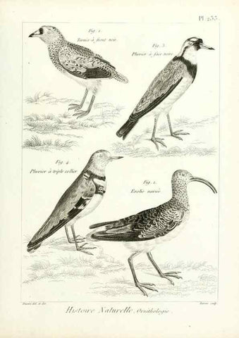 Reproducción/Reproduction 7850822562: Tableau encyclopédique et méthodique des trois règnes de la nature.. A Paris :Chez Mme. veuve Agasse ...,1823.
