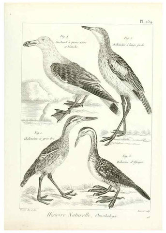 Reproducción/Reproduction 7850823748: Tableau encyclopédique et méthodique des trois règnes de la nature.. A Paris :Chez Mme. veuve Agasse ...,1823.