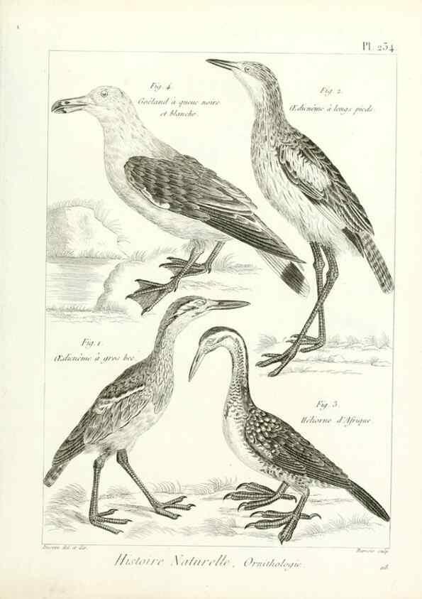 Reproducción/Reproduction 7850823748: Tableau encyclopédique et méthodique des trois règnes de la nature.. A Paris :Chez Mme. veuve Agasse ...,1823.
