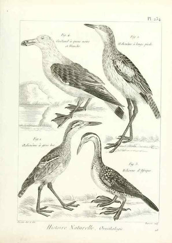 Reproducción/Reproduction 7850823748: Tableau encyclopédique et méthodique des trois règnes de la nature.. A Paris :Chez Mme. veuve Agasse ...,1823.
