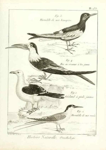 Reproducción/Reproduction 7850824890: Tableau encyclopédique et méthodique des trois règnes de la nature.. A Paris :Chez Mme. veuve Agasse ...,1823.