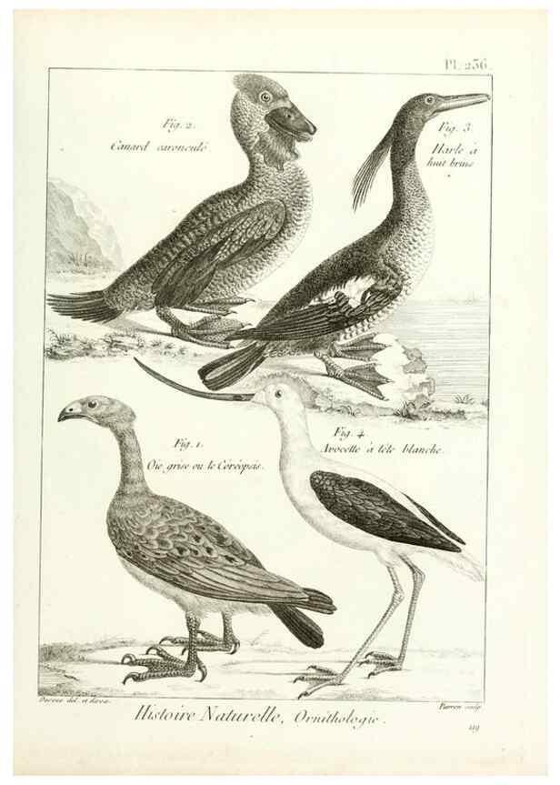Reproducción/Reproduction 7850826394: Tableau encyclopédique et méthodique des trois règnes de la nature.. A Paris :Chez Mme. veuve Agasse ...,1823.