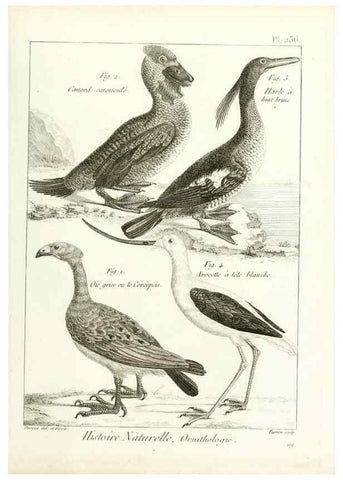 Reproducción/Reproduction 7850826394: Tableau encyclopédique et méthodique des trois règnes de la nature.. A Paris :Chez Mme. veuve Agasse ...,1823.