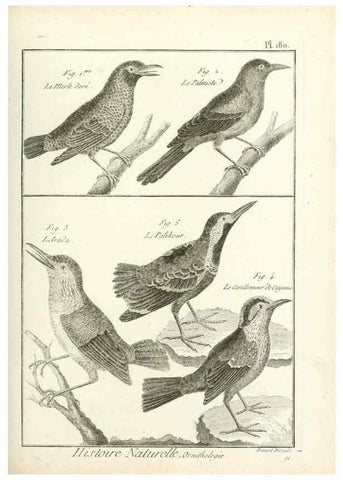 Reproducción/Reproduction 7850708726: Tableau encyclopédique et méthodique des trois règnes de la nature.. A Paris :Chez Mme. veuve Agasse ...,1823.