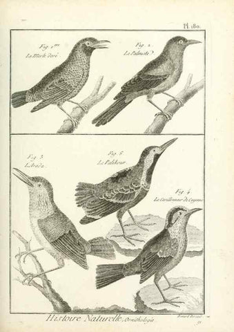 Reproducción/Reproduction 7850708726: Tableau encyclopédique et méthodique des trois règnes de la nature.. A Paris :Chez Mme. veuve Agasse ...,1823.