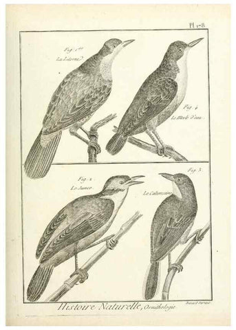 Reproducción/Reproduction 7850705338: Tableau encyclopédique et méthodique des trois règnes de la nature.. A Paris :Chez Mme. veuve Agasse ...,1823.