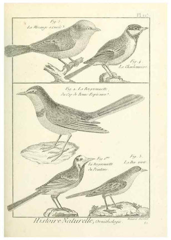 Reproducción/Reproduction 7850642546: Tableau encyclopédique et méthodique des trois règnes de la nature.. A Paris :Chez Mme. veuve Agasse ...,1823.
