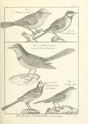 Reproducción/Reproduction 7850642546: Tableau encyclopédique et méthodique des trois règnes de la nature.. A Paris :Chez Mme. veuve Agasse ...,1823.
