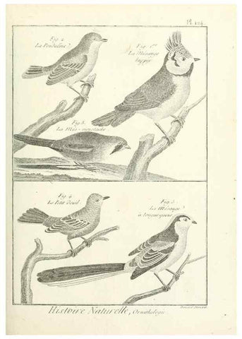 Reproducción/Reproduction 7850643678: Tableau encyclopédique et méthodique des trois règnes de la nature.. A Paris :Chez Mme. veuve Agasse ...,1823.