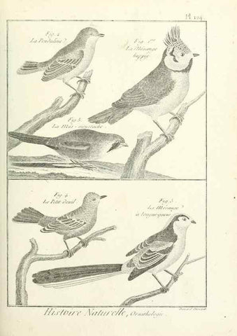 Reproducción/Reproduction 7850643678: Tableau encyclopédique et méthodique des trois règnes de la nature.. A Paris :Chez Mme. veuve Agasse ...,1823.