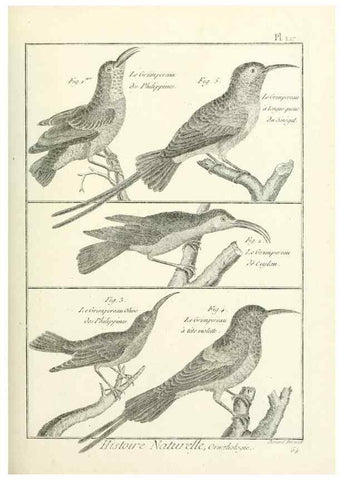 Reproducción/Reproduction 7850646942: Tableau encyclopédique et méthodique des trois règnes de la nature.. A Paris :Chez Mme. veuve Agasse ...,1823.