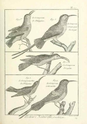 Reproducción/Reproduction 7850646942: Tableau encyclopédique et méthodique des trois règnes de la nature.. A Paris :Chez Mme. veuve Agasse ...,1823.