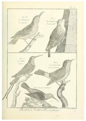 Reproducción/Reproduction 7850648108: Tableau encyclopédique et méthodique des trois règnes de la nature.. A Paris :Chez Mme. veuve Agasse ...,1823.