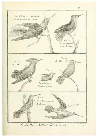 Reproducción/Reproduction 7850651358: Tableau encyclopédique et méthodique des trois règnes de la nature.. A Paris :Chez Mme. veuve Agasse ...,1823.
