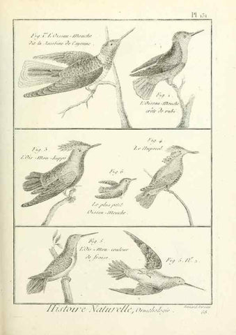 Reproducción/Reproduction 7850651358: Tableau encyclopédique et méthodique des trois règnes de la nature.. A Paris :Chez Mme. veuve Agasse ...,1823.