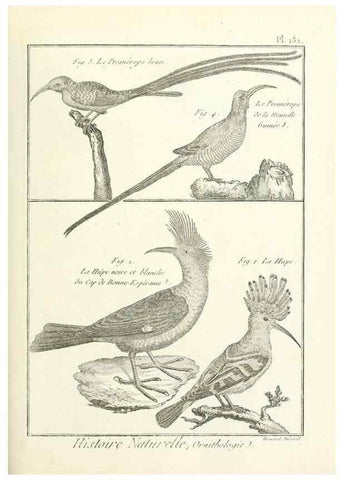 Reproducción/Reproduction 7850652318: Tableau encyclopédique et méthodique des trois règnes de la nature.. A Paris :Chez Mme. veuve Agasse ...,1823.