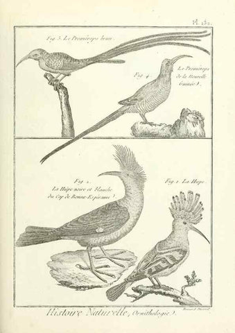 Reproducción/Reproduction 7850652318: Tableau encyclopédique et méthodique des trois règnes de la nature.. A Paris :Chez Mme. veuve Agasse ...,1823.