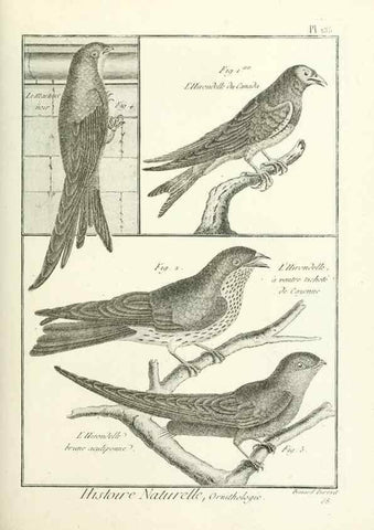 Reproducción/Reproduction 7850655680: Tableau encyclopédique et méthodique des trois règnes de la nature.. A Paris :Chez Mme. veuve Agasse ...,1823.
