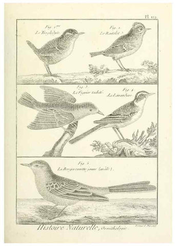 Reproducción/Reproduction 7850641404: Tableau encyclopédique et méthodique des trois règnes de la nature.. A Paris :Chez Mme. veuve Agasse ...,1823.