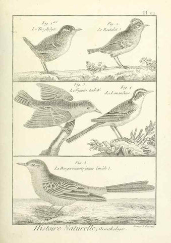 Reproducción/Reproduction 7850641404: Tableau encyclopédique et méthodique des trois règnes de la nature.. A Paris :Chez Mme. veuve Agasse ...,1823.