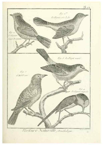 Reproducción/Reproduction 7850640340: Tableau encyclopédique et méthodique des trois règnes de la nature.. A Paris :Chez Mme. veuve Agasse ...,1823.