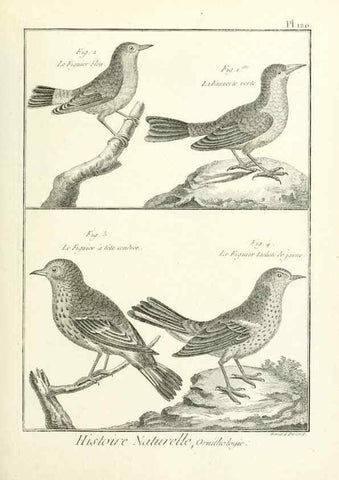 Reproducción/Reproduction 7850639212: Tableau encyclopédique et méthodique des trois règnes de la nature.. A Paris :Chez Mme. veuve Agasse ...,1823.