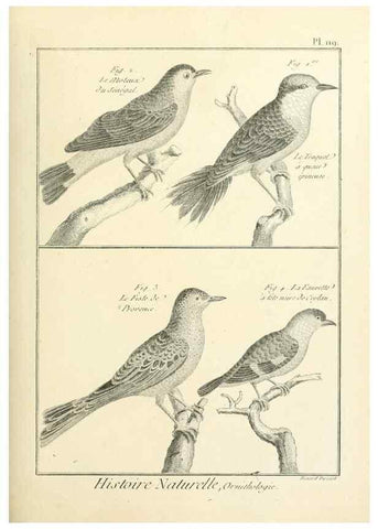 Reproducción/Reproduction 7850638168: Tableau encyclopédique et méthodique des trois règnes de la nature.. A Paris :Chez Mme. veuve Agasse ...,1823.