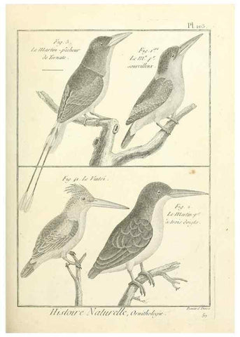 Reproducción/Reproduction 7850620310: Tableau encyclopédique et méthodique des trois règnes de la nature.. A Paris :Chez Mme. veuve Agasse ...,1823.
