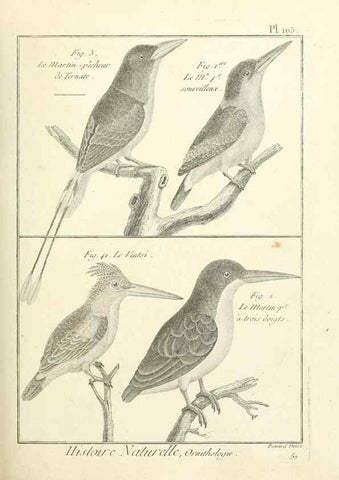 Reproducción/Reproduction 7850620310: Tableau encyclopédique et méthodique des trois règnes de la nature.. A Paris :Chez Mme. veuve Agasse ...,1823.