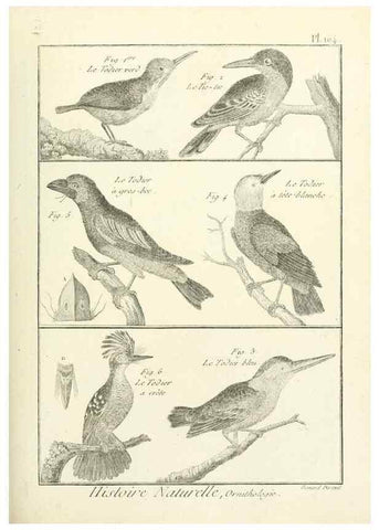 Reproducción/Reproduction 7850621328: Tableau encyclopédique et méthodique des trois règnes de la nature.. A Paris :Chez Mme. veuve Agasse ...,1823.