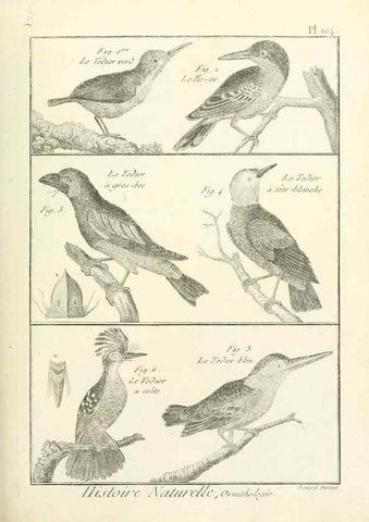 Reproducción/Reproduction 7850621328: Tableau encyclopédique et méthodique des trois règnes de la nature.. A Paris :Chez Mme. veuve Agasse ...,1823.