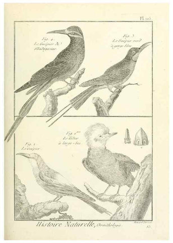 Reproducción/Reproduction 7850622308: Tableau encyclopédique et méthodique des trois règnes de la nature.. A Paris :Chez Mme. veuve Agasse ...,1823.