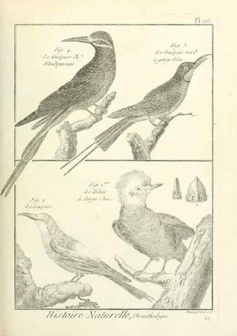 Reproducción/Reproduction 7850622308: Tableau encyclopédique et méthodique des trois règnes de la nature.. A Paris :Chez Mme. veuve Agasse ...,1823.