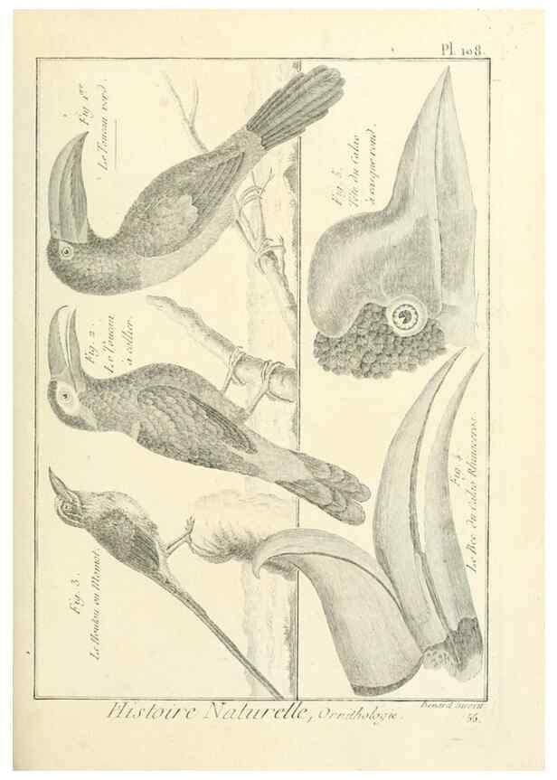 Reproducción/Reproduction 7850625810: Tableau encyclopédique et méthodique des trois règnes de la nature.. A Paris :Chez Mme. veuve Agasse ...,1823.