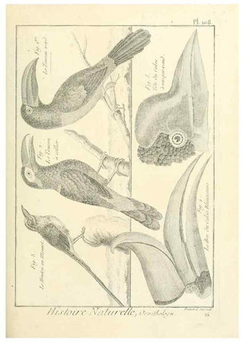 Reproducción/Reproduction 7850625810: Tableau encyclopédique et méthodique des trois règnes de la nature.. A Paris :Chez Mme. veuve Agasse ...,1823.