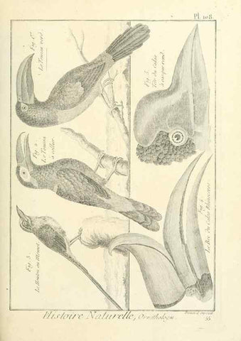 Reproducción/Reproduction 7850625810: Tableau encyclopédique et méthodique des trois règnes de la nature.. A Paris :Chez Mme. veuve Agasse ...,1823.